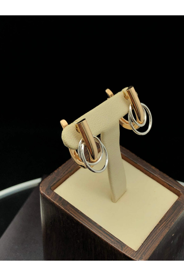 Kuldkõrvarõngad Inglise lossil 39/23 3