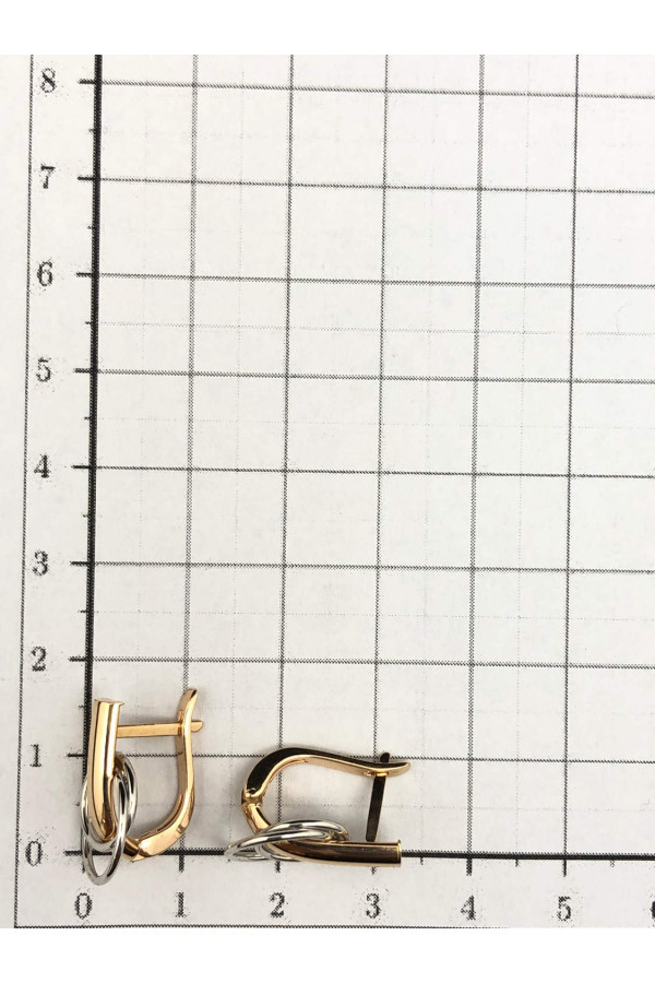 Kuldkõrvarõngad Inglise lossil 39/23 3