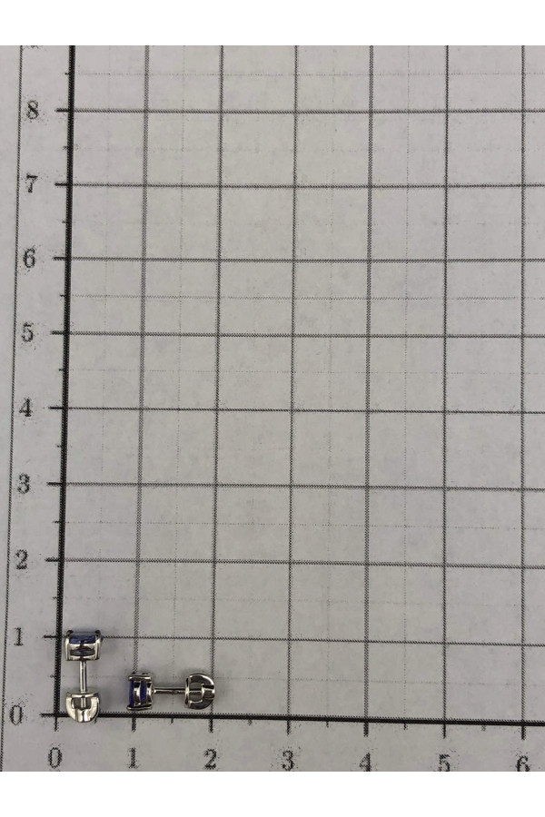 Valgest kullast kõrvarõngad tansaniitide ja musta roodiumiga 0/44 98