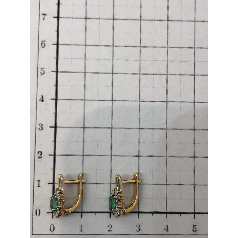Gold earrings with cubic zirconia 0/5 396